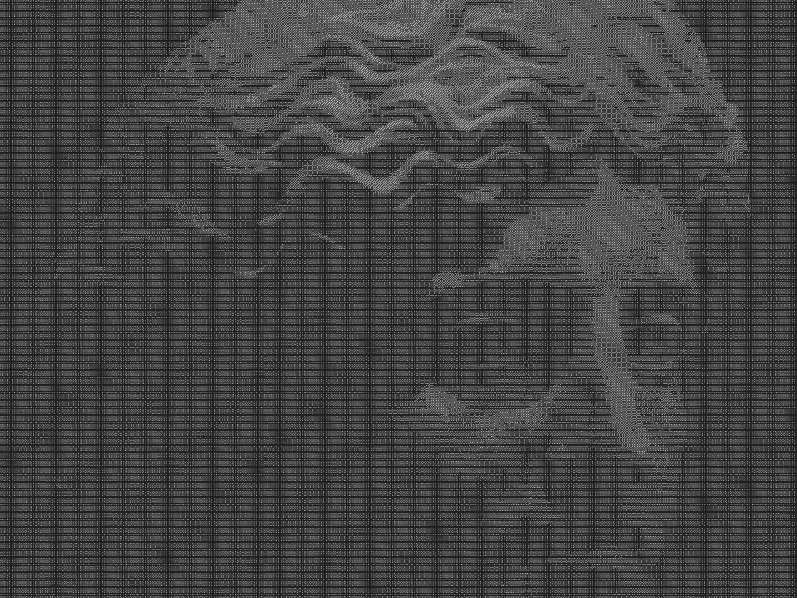 SCALE 2: strokes fine enough to read as engraving