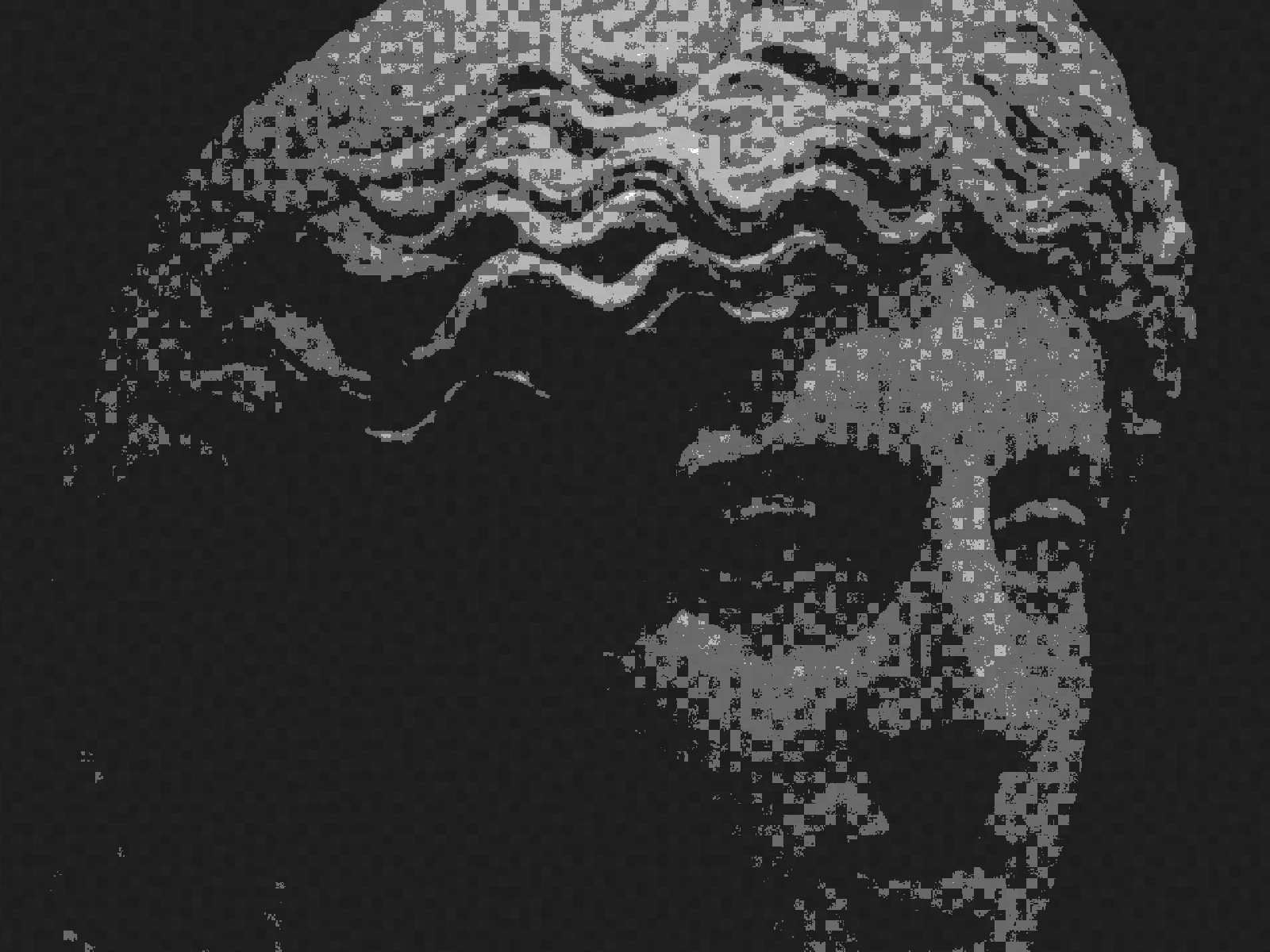 PIXEL 8: the coarsest grid, tone reduced to chunky pigment blocks
