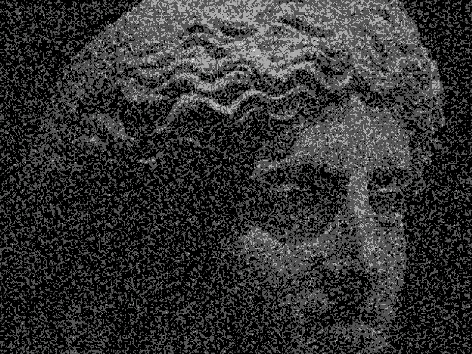 AMOUNT 0.5: the default, texture present without taking over