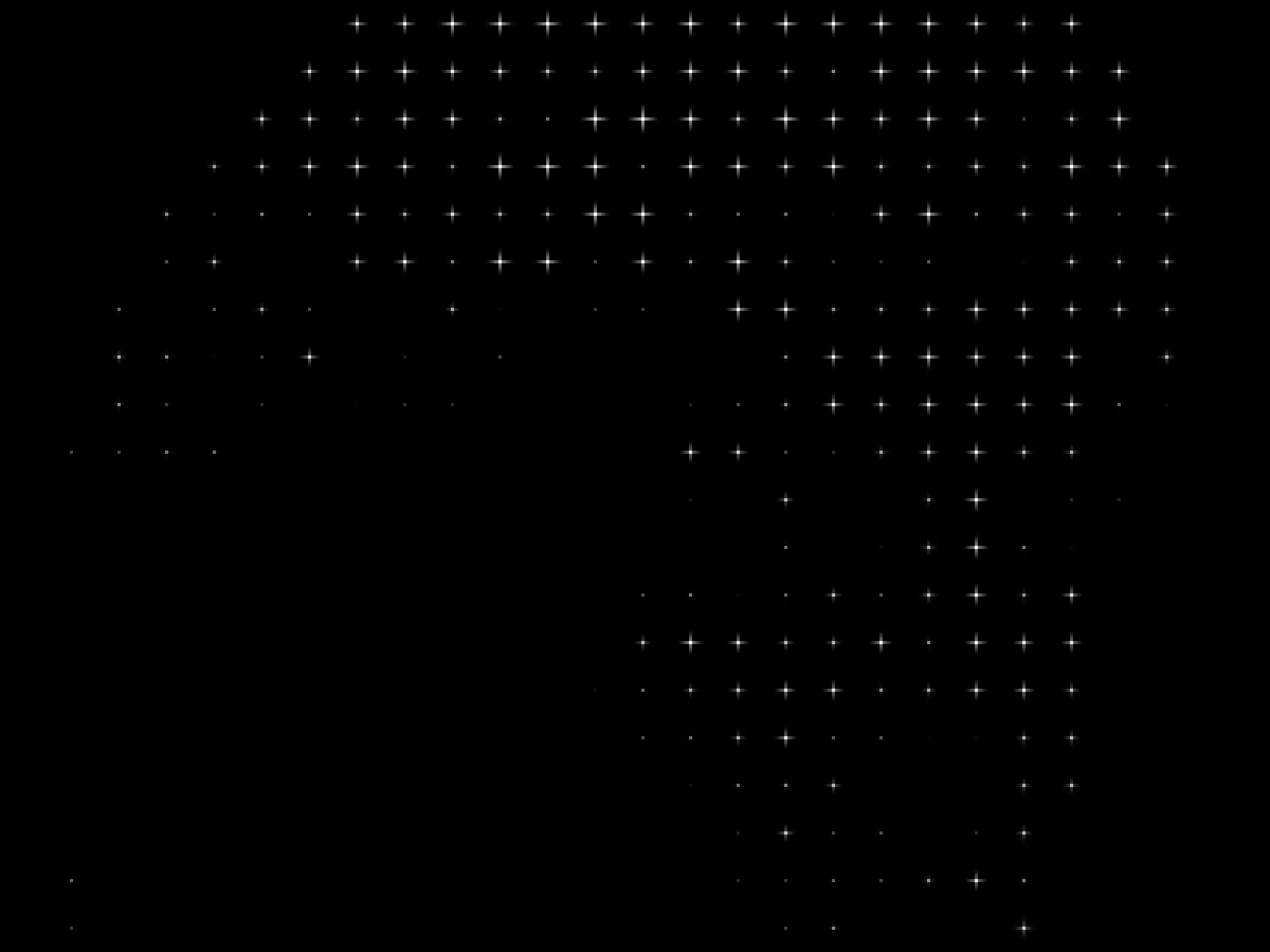 PIXEL 12: large cells, the star motif dominating the image
