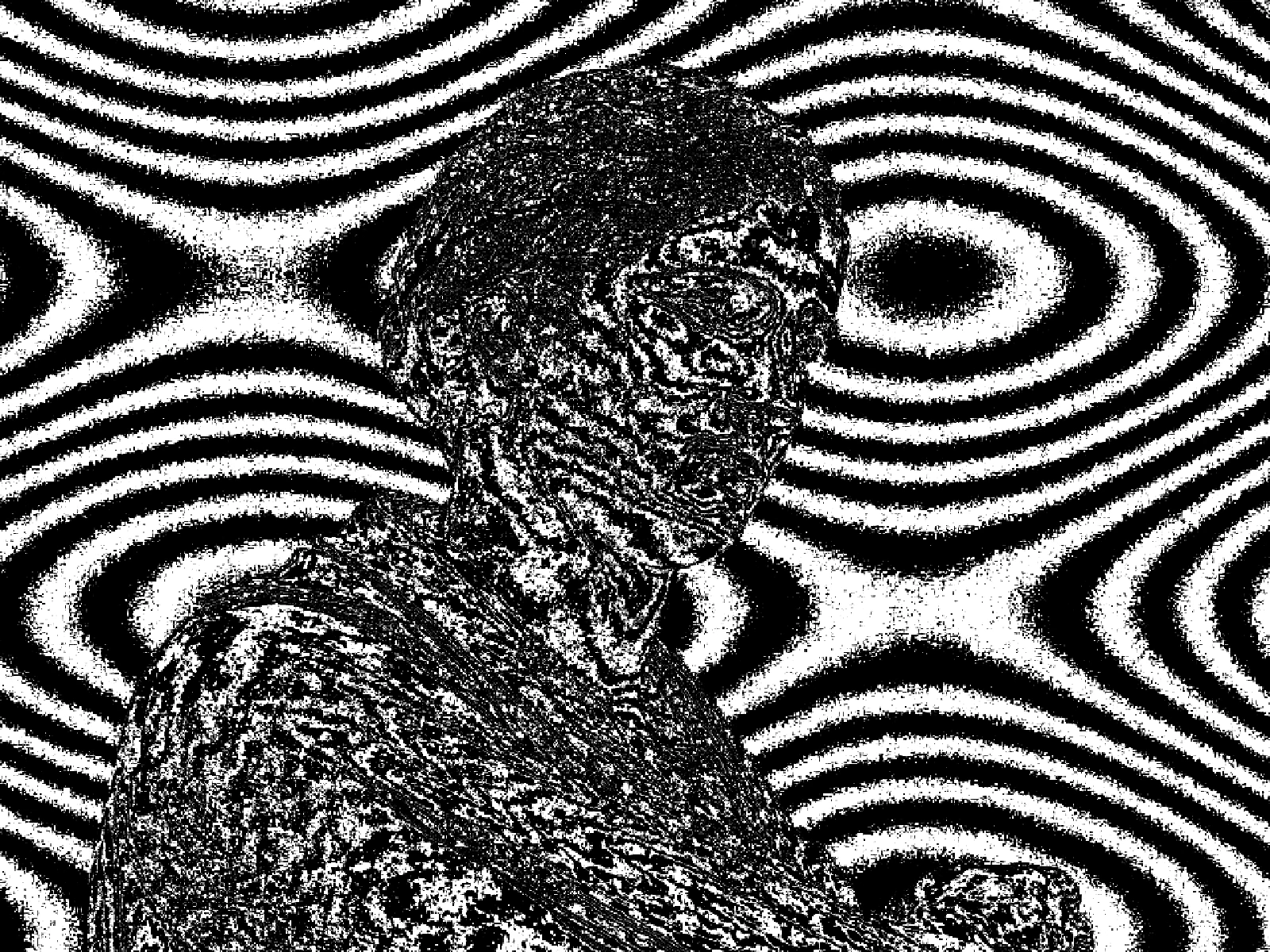 WARP 19: strong displacement, the field folded tightly around form